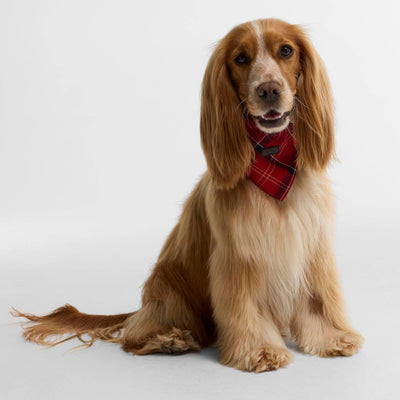 Barbour Tartan Dog Bandana Cardinal Red