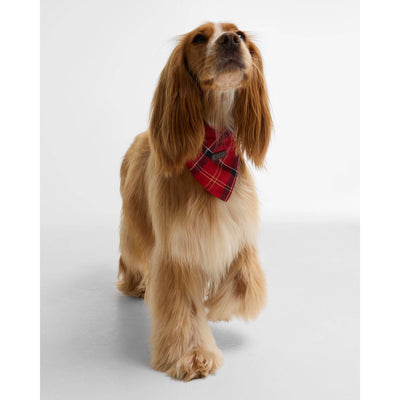 Barbour Tartan Dog Bandana Cardinal Red