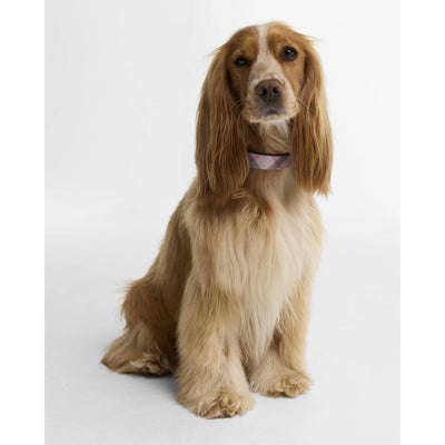 Barbour Tartan Printed Dog Collar Pink Tartan