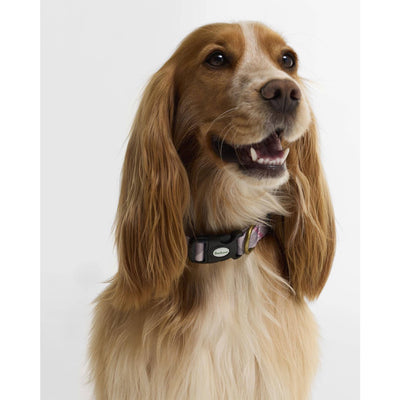 Barbour Tartan Printed Dog Collar Pink Tartan
