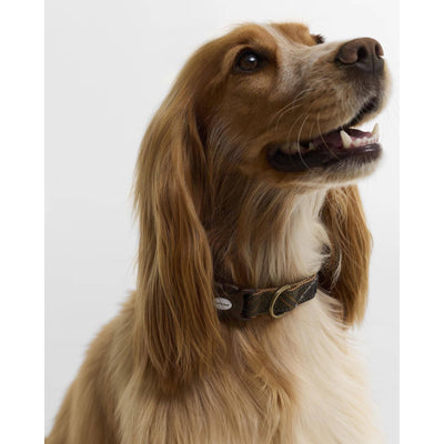 Barbour Tartan & Webbing Dog Collar Classic Tartan