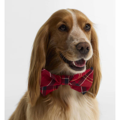 Barbour Tartan Dog Bow Tie Cardinal Red