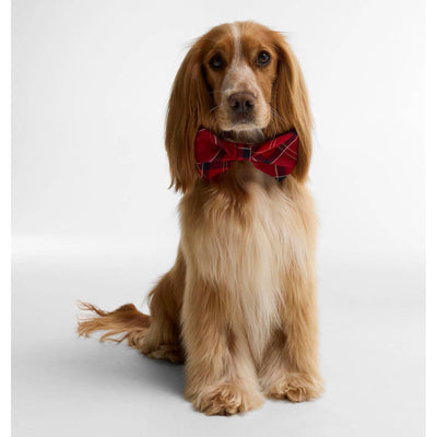 Barbour Tartan Dog Bow Tie Cardinal Red