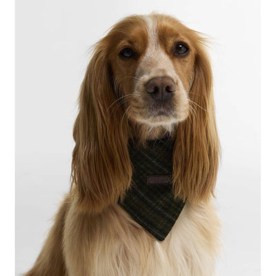 Barbour Wilkin Dog Bandana Olive Check