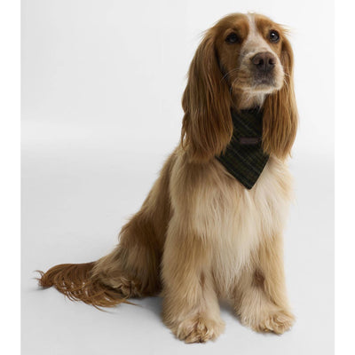 Barbour Wilkin Dog Bandana Olive Check