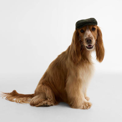 Barbour Wilkin Dog Flat Cap Olive Check