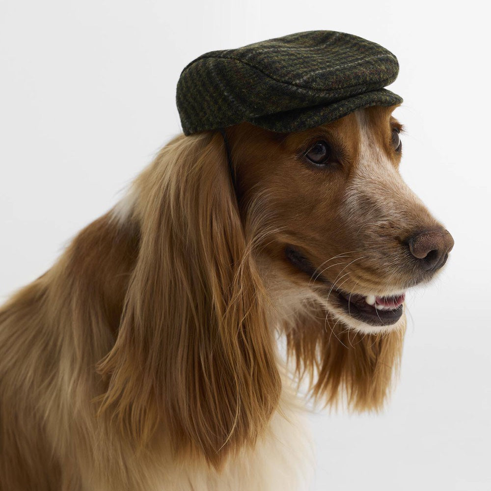 Barbour Wilkin Dog Flat Cap Olive Check