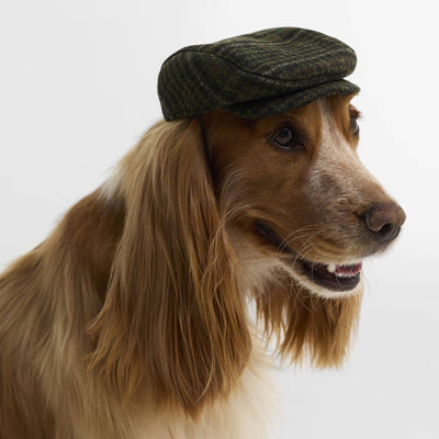 Barbour Wilkin Dog Flat Cap Olive Check