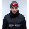 Napapijri Semiury Beanie Hat Green Urban