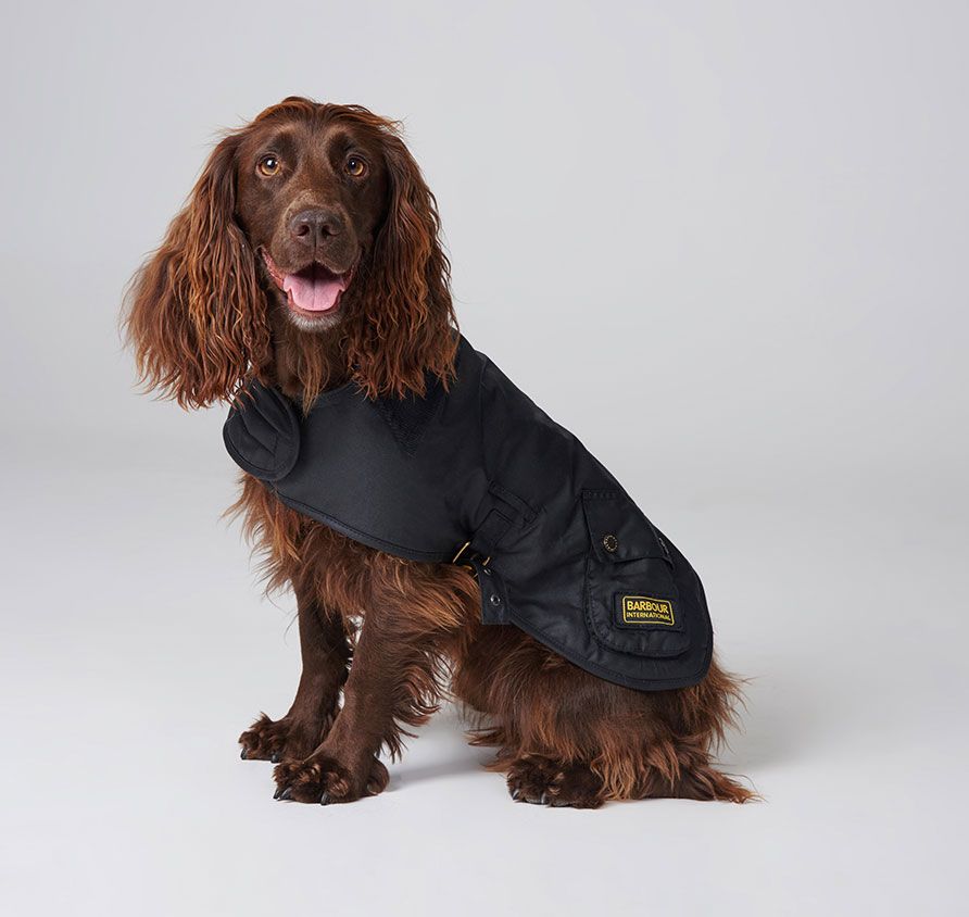 Barbour International Black Wax Dog Jacket Smart Ass Menswear