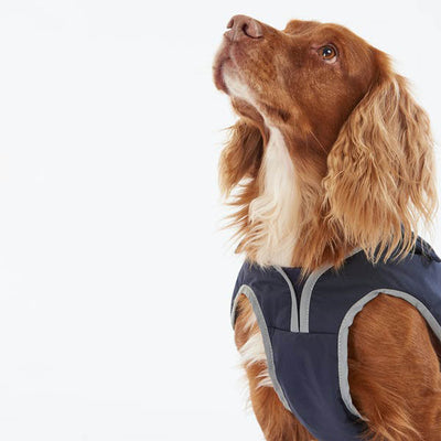 Barbour Monmouth Waterproof Dog Coat Indigo Desc
